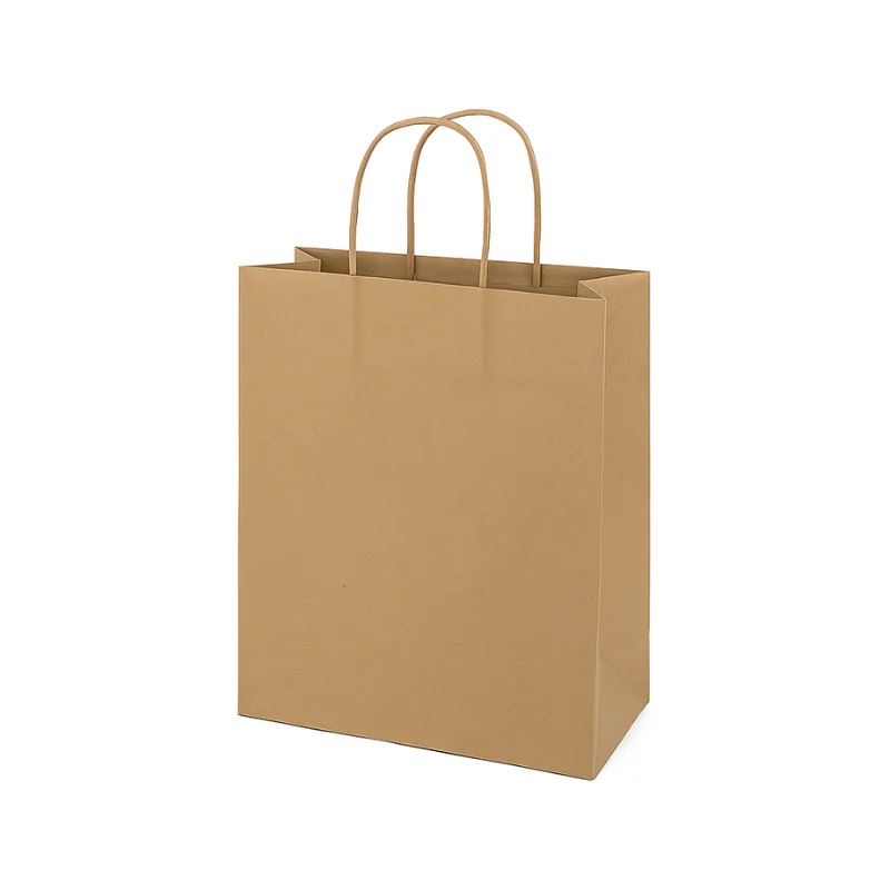 Paper Grocery Bags with Handles (500 bags/box)